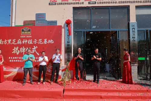红盘 南方黑芝麻种植示范基地瑞昌揭牌：全产业链布局再升级
