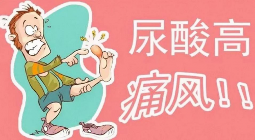 芝麻财富 高尿酸痛风不再愁！酸友平衡尿酸大数据平台，用科技定制健康管理新路径